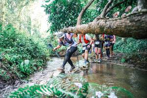 BIB: 
                            <button type="button" onclick="openModal(25476391)" class="btn btn-primary btn-sm float-right btn-popup" data-toggle="modal" data-target=".modal-high-quality">
                        <i class="fas fa-shopping-cart"></i> Add to Cart
                    </button>
                                            <button type="button" onclick="isThisMe(25476391, true)" class="btn btn-success btn-sm float-right btn-popup btn-isme hidden" data-toggle="tooltip" data-placement="bottom" title="นี่คือรูปของคุณใช่ไหม คลิกที่นี่เพื่อเอาเข้าอัลบั้ม">
                        <i class="fas fa-plus"></i> Add to album
                    </button>
                    <button type="button" onclick="isThisMe(25476391, false)" class="btn btn-warning btn-sm float-right btn-popup btn-isnotme hidden">
                        <i class="fas fa-ban"></i> Remove from album
                    </button>